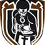 Rugby_Fiji BATI_logo.jpg